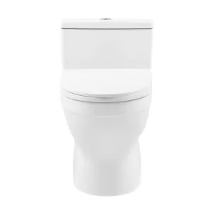 Clichy One-Piece Elongated Toilet Dual-Flush 1.1/1.6 gpf