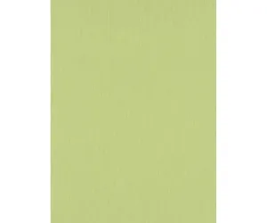 Green 6739-07 Urban Spirit Wallpaper
