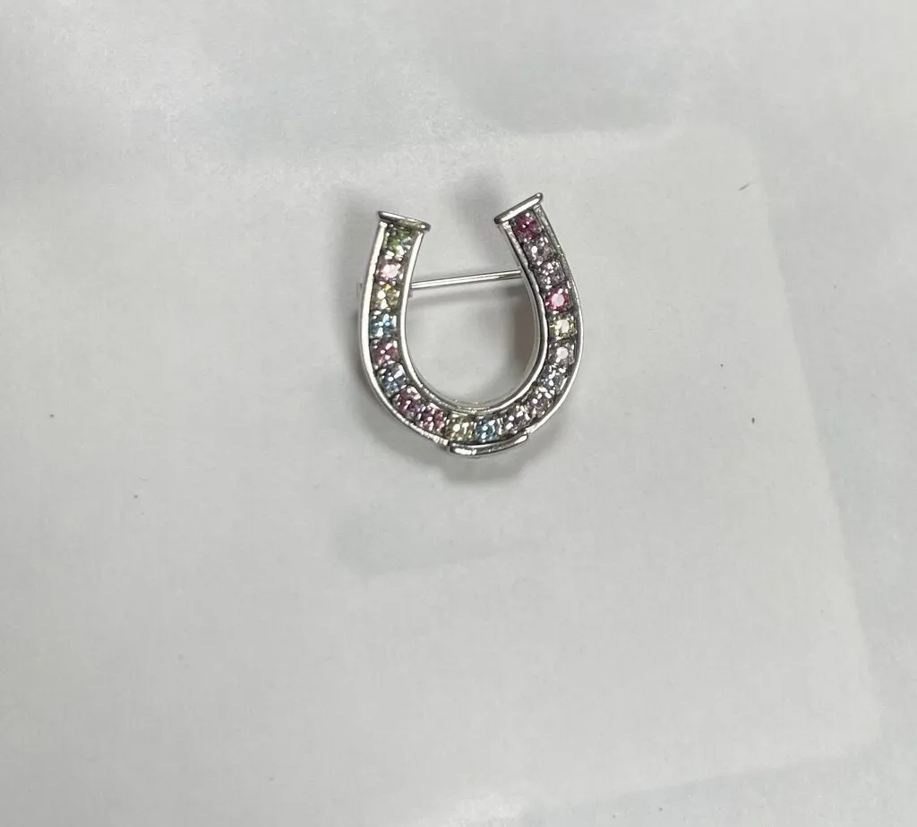 Horseshoe Pin