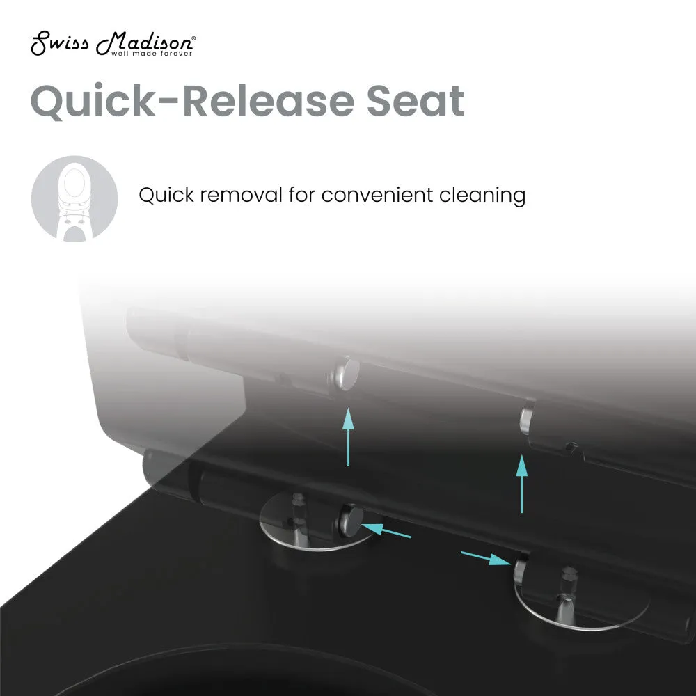 Voltaire One-Piece Elongated Toilet Dual-Flush 1.1/1.6 gpf in Matte Black