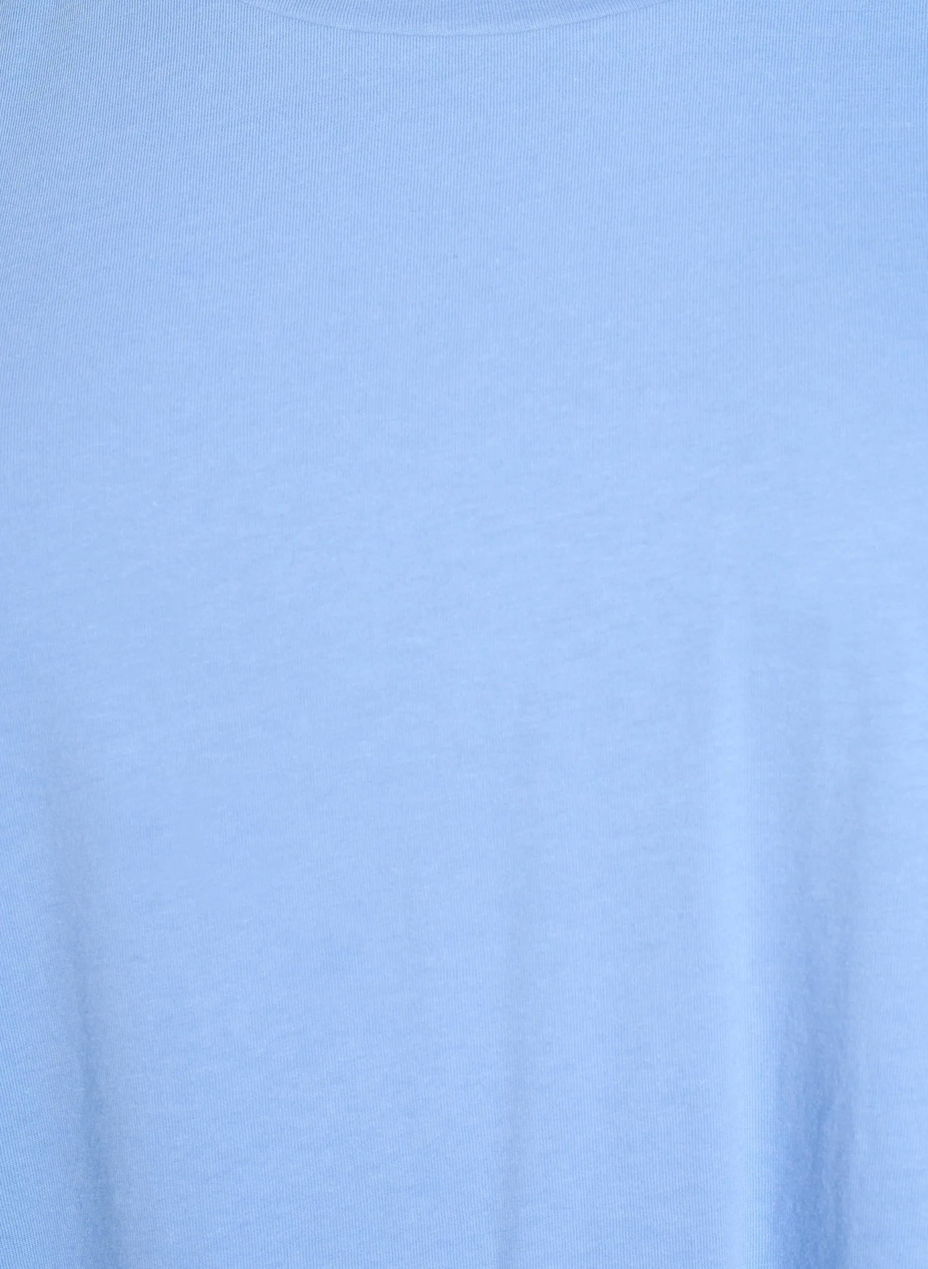 Zizzi Katja T-Shirt in Light Blue